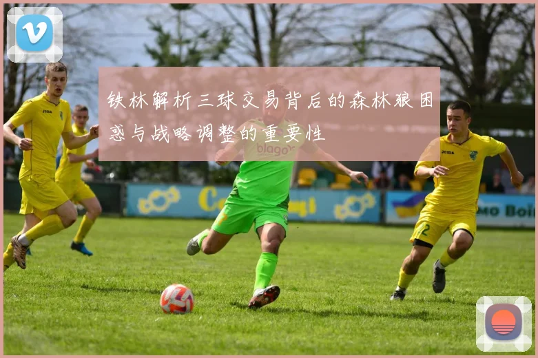 铁林解析三球交易背后的森林狼困惑与战略调整的重要性