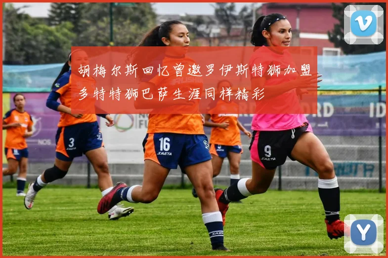 胡梅尔斯回忆曾邀罗伊斯特狮加盟多特特狮巴萨生涯同样精彩