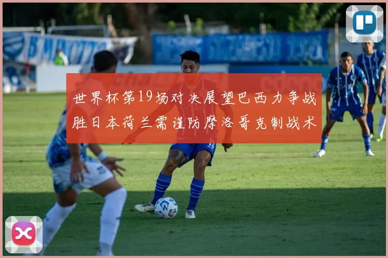 世界杯第19场对决展望巴西力争战胜日本荷兰需谨防摩洛哥克制战术