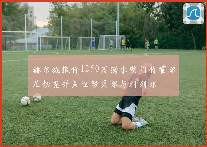 赫尔城报价1250万镑求购门将霍尔尼切克并关注努贝尔与科利尔